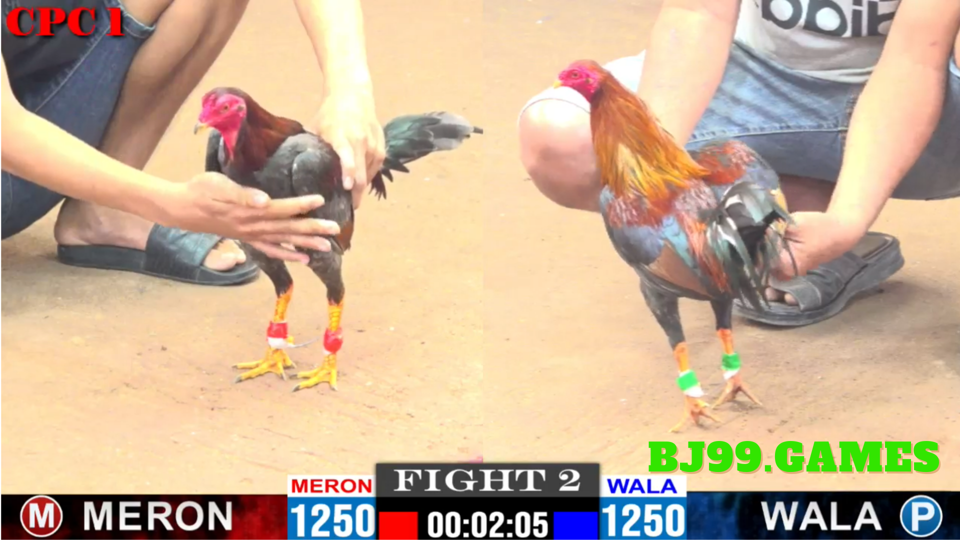 đá gà trực tiếp | bj99