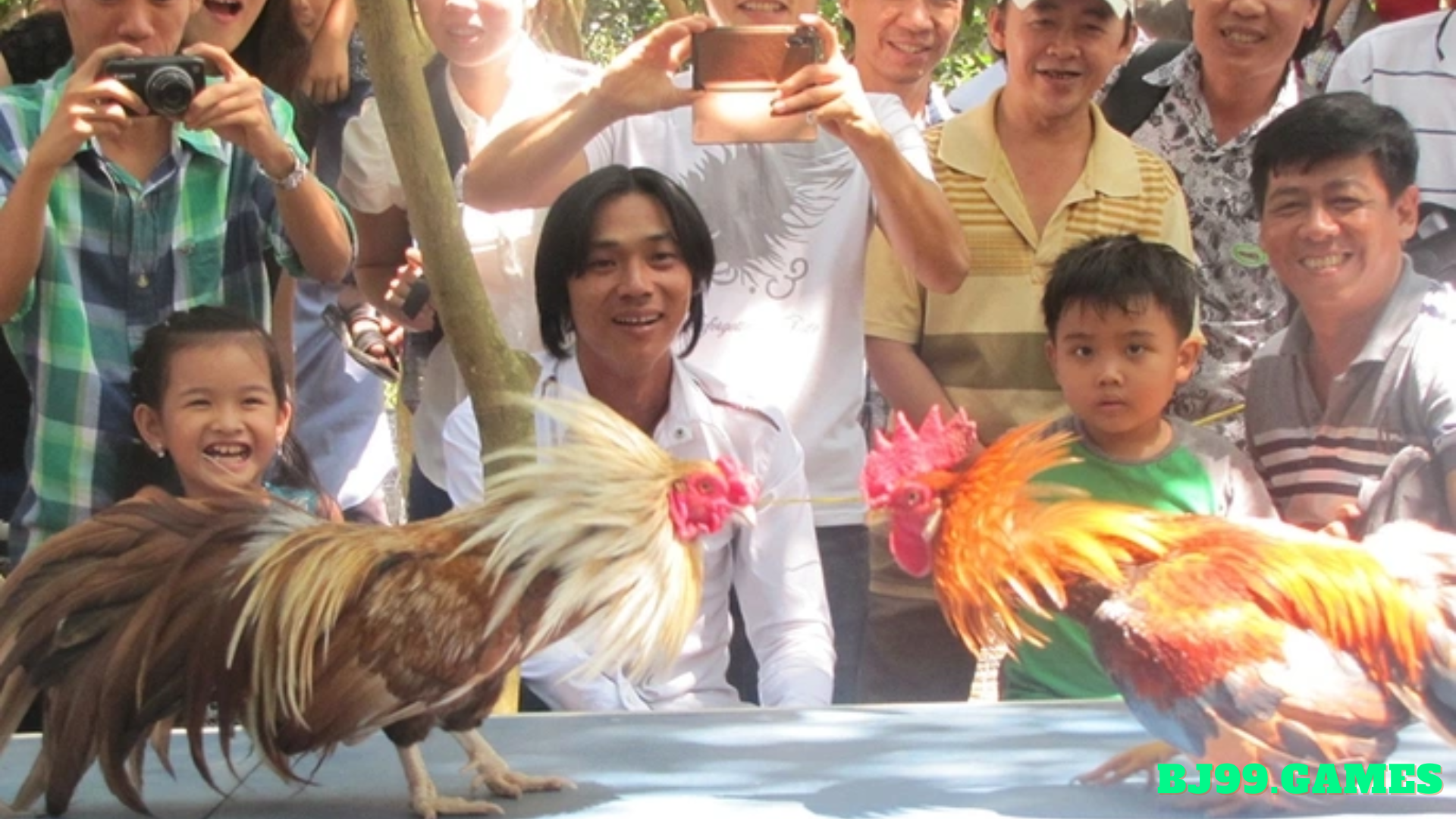 bj99 - phong tực đá gà 