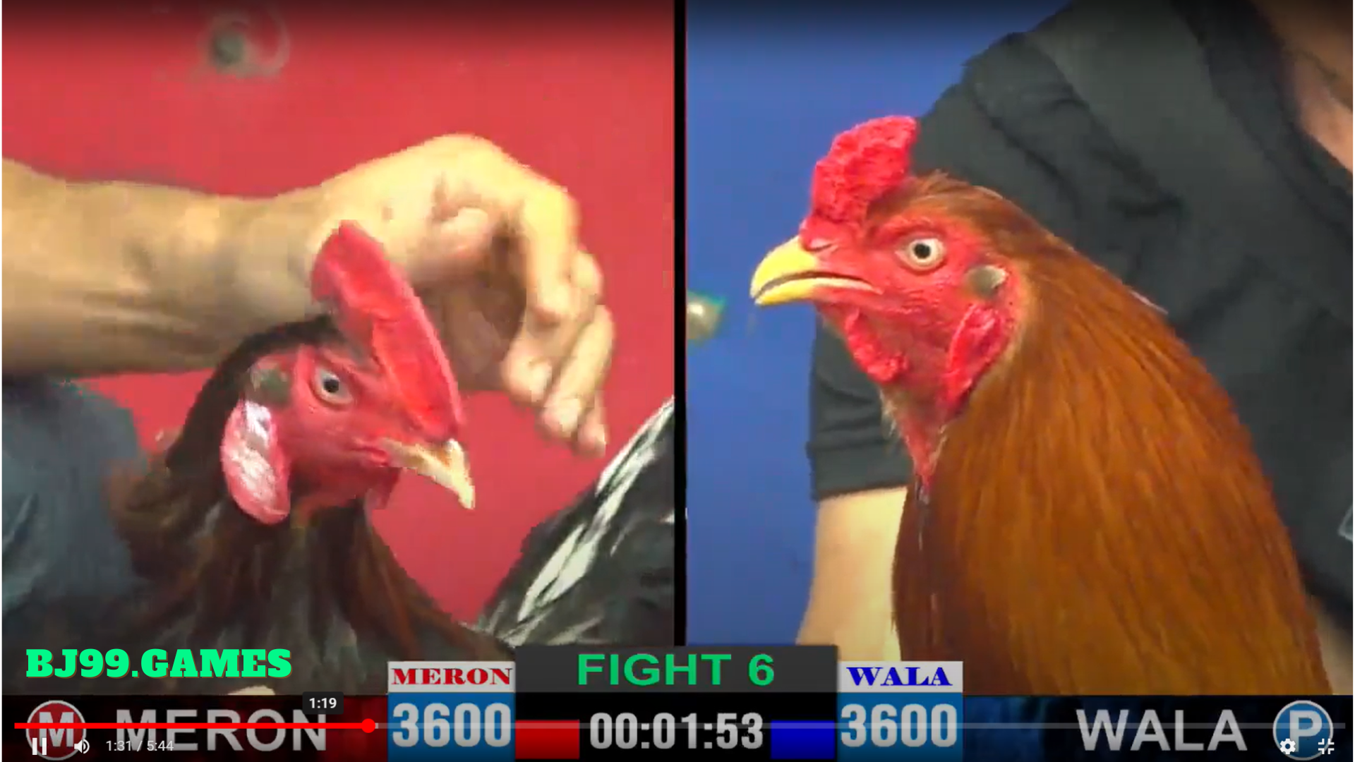 bj99 - đá gà trực tiếp 