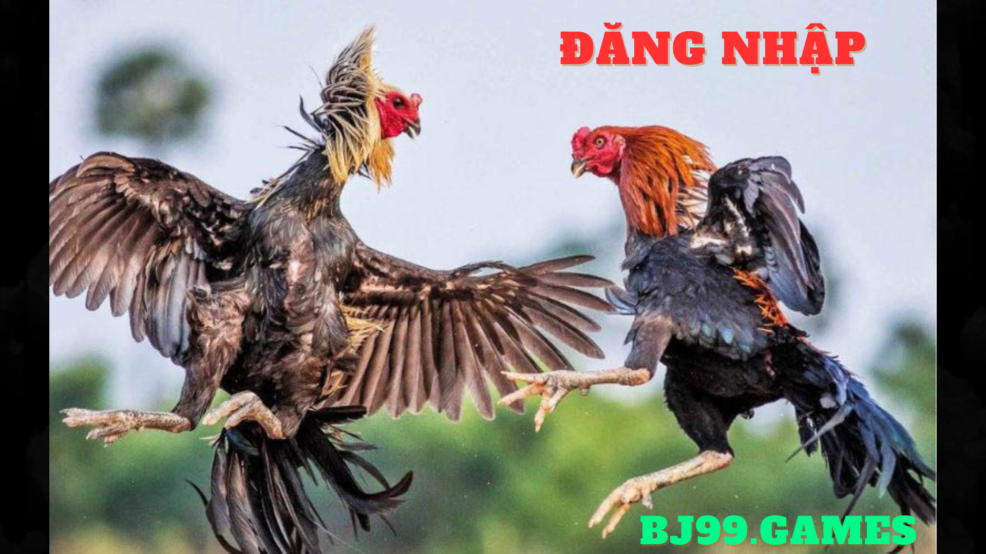 bj99 | đăng nhập