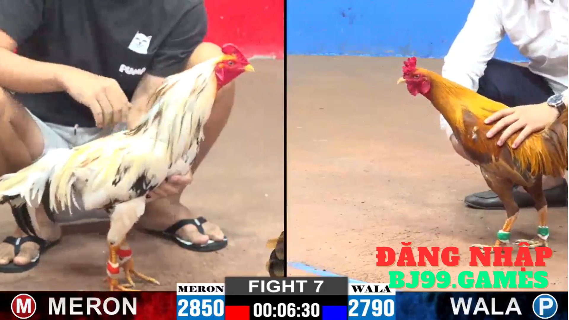 bj99 | đăng nhập