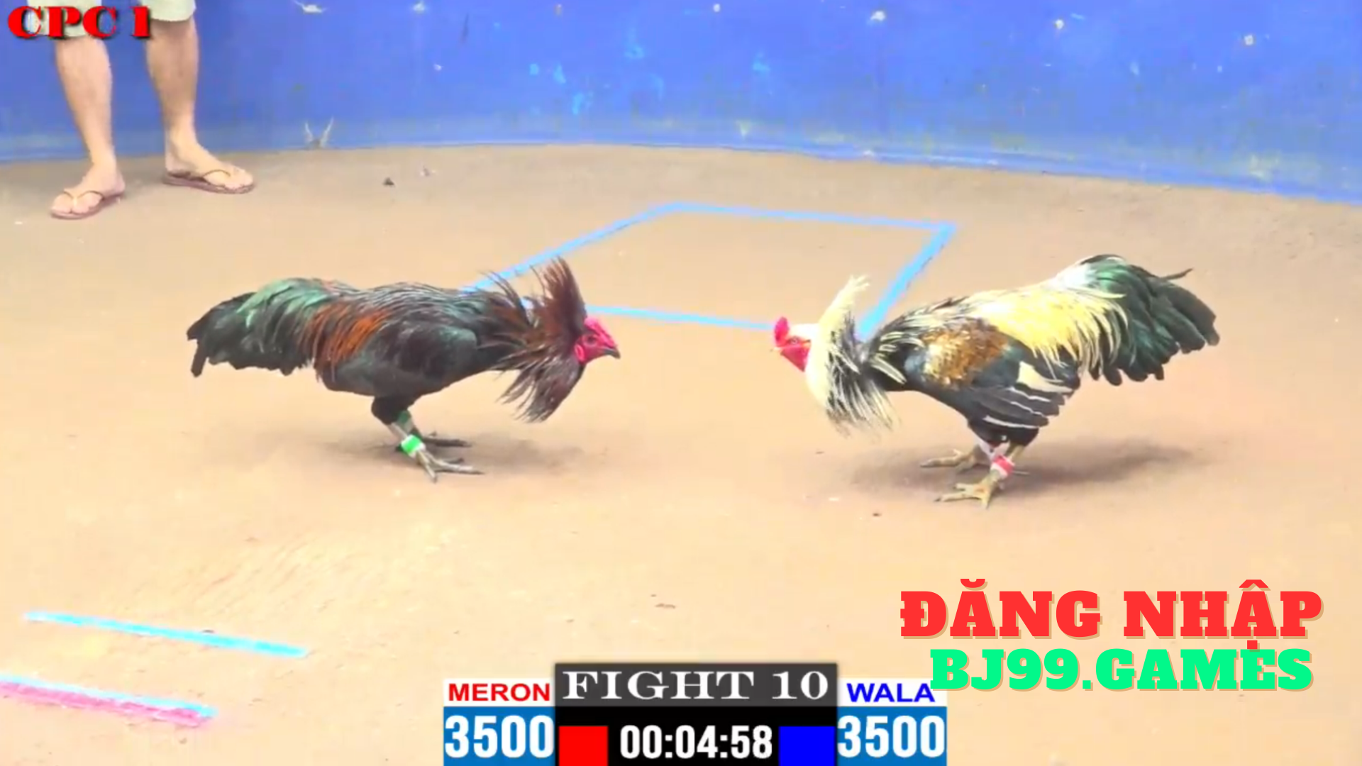 ĐĂNG NHẬP NHÀ CÁI | BJ99