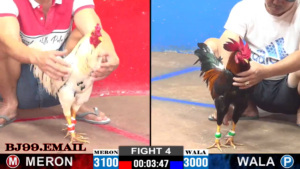 Link vào bj99 mới nhất 2025 bj27